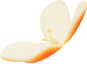 꽃