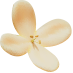 꽃