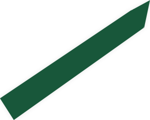 ribbon